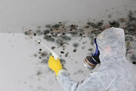 Best Mold Remediation for Healthcare Facilities  in Port Arthur, TX